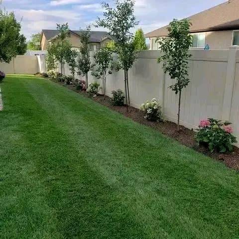 Cirrus residential complex service